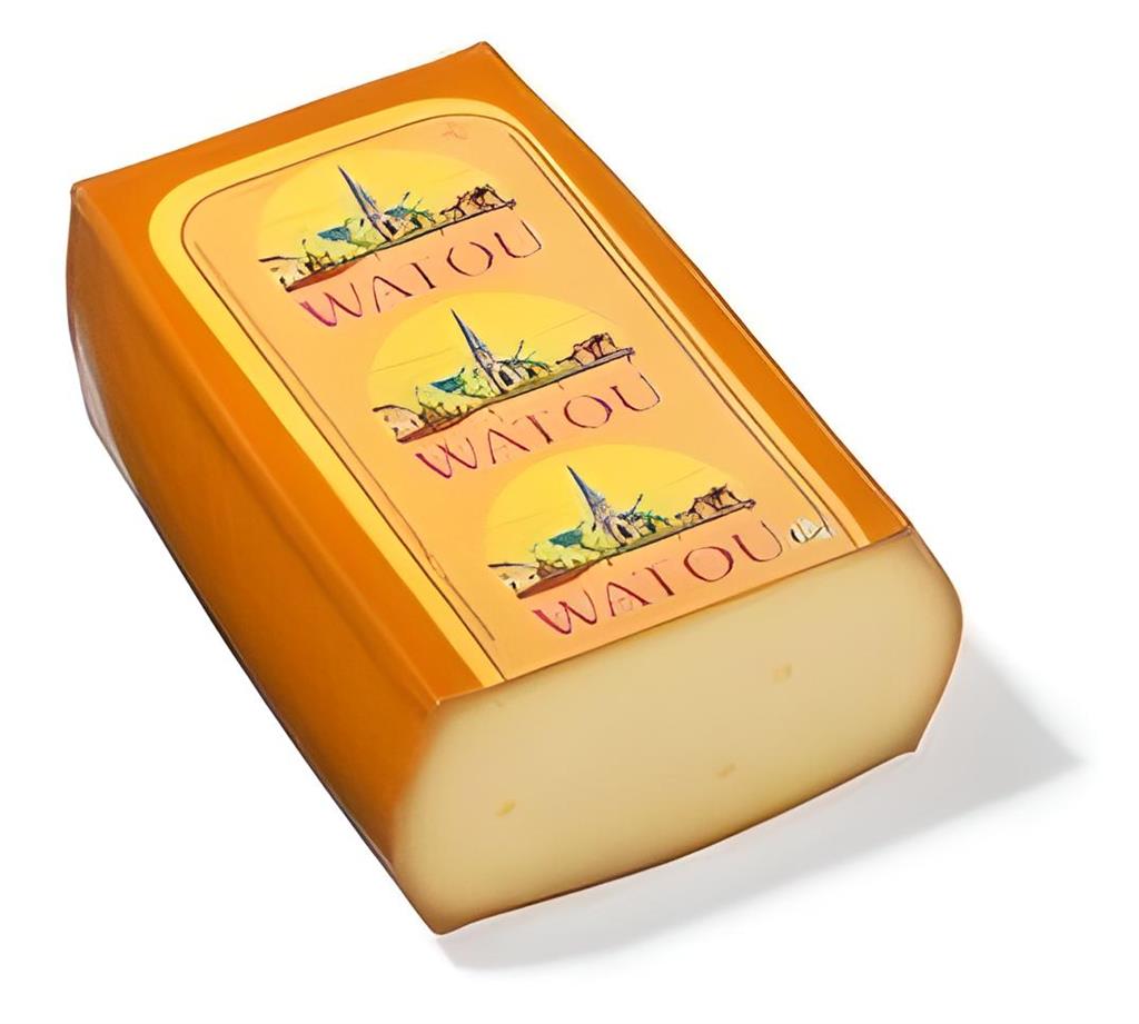 Watou barre de fromage +-2,8kg