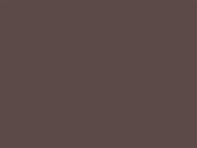 Duni (175474) placemats 30x40 chesnut 250st