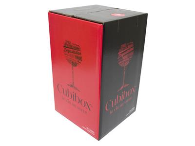 Cubibox rood 10liter