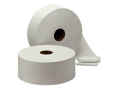 Toiletpapier mini jumbo 2l Wipe Away(T010) 12st