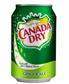 Canada dry 24x33cl